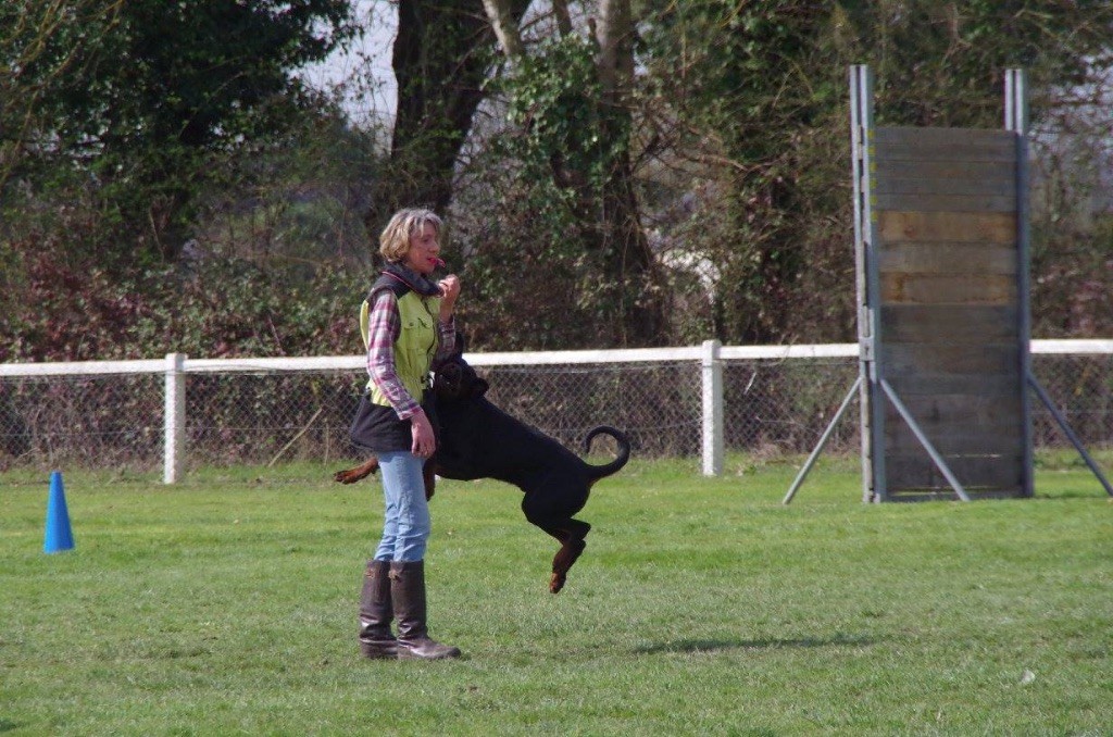 focus Focus cromwell cracker