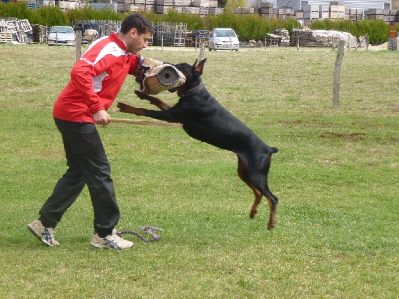 Just-gaiano de la Villa Valiano