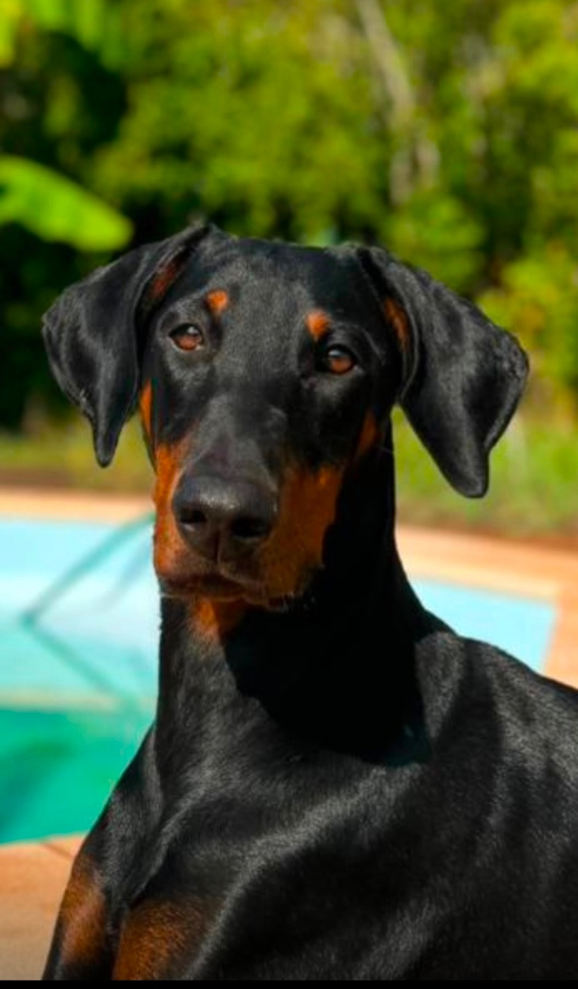 Juin 2026 Portée prévu